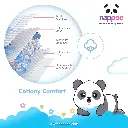 XL03.webp