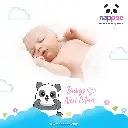 XL06.webp
