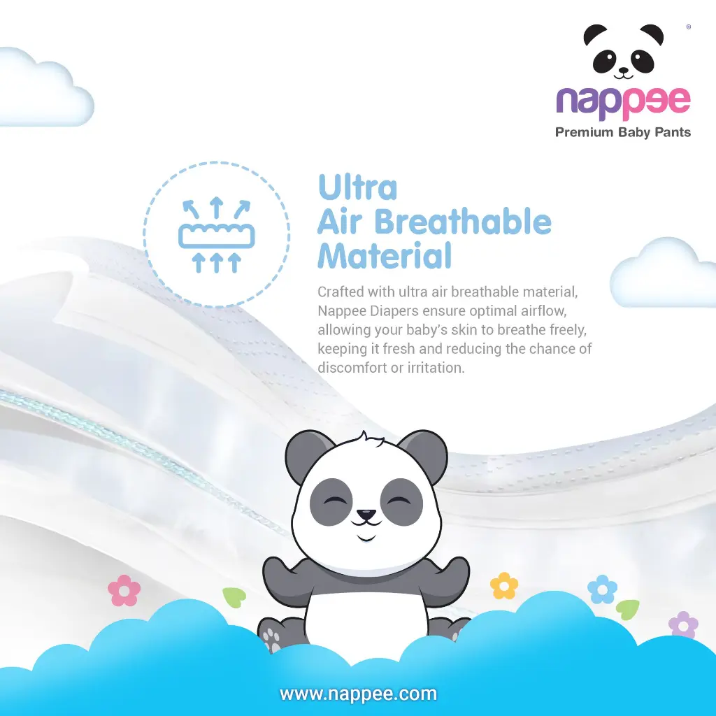 XL02.webp
