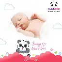 XXL06.webp