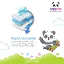 XXXL01.webp