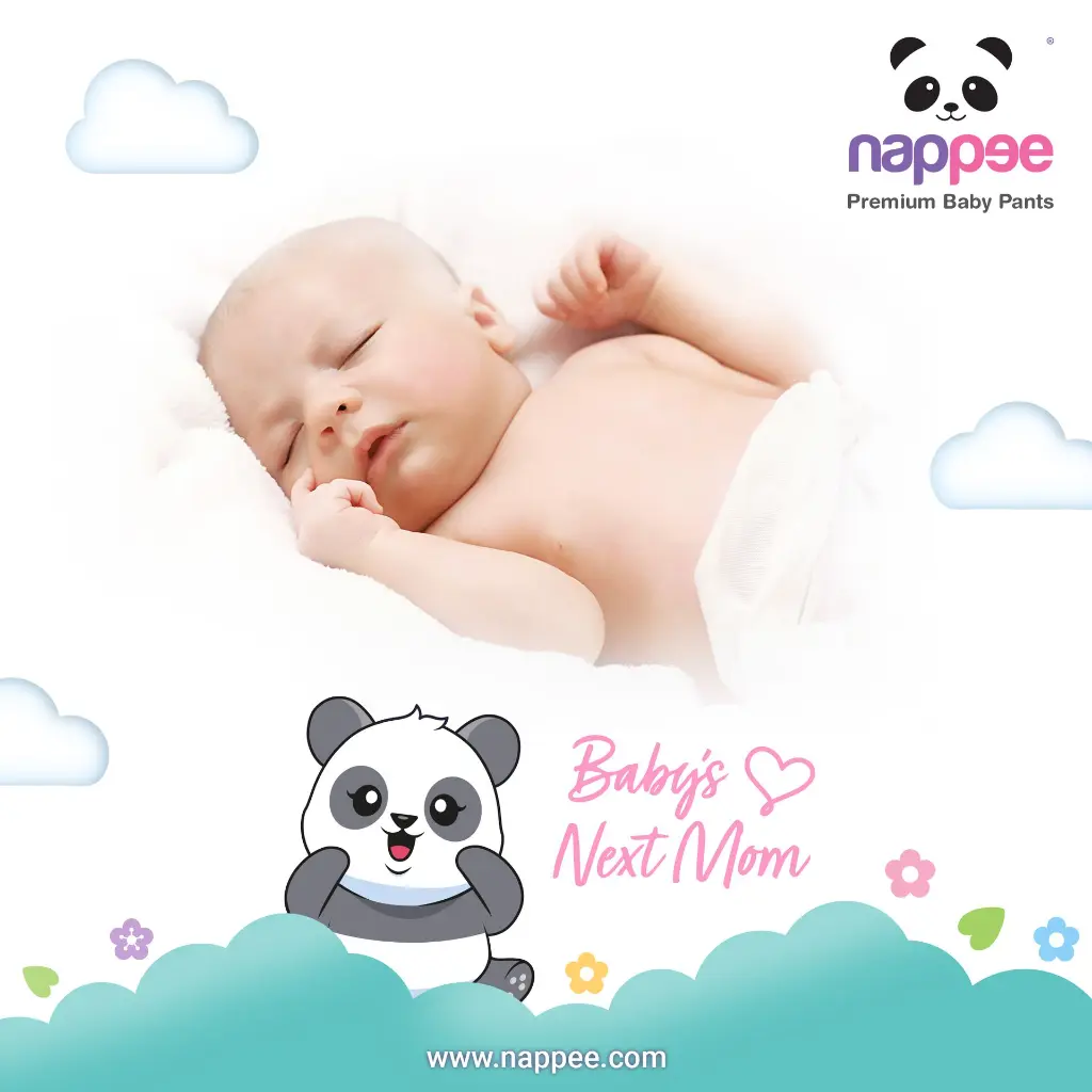 S06.webp