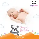 L06.webp