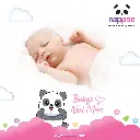 M06.webp